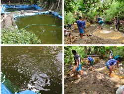 Cegah Stunting Pemdes Langgosipi Programkan 20 Kolam Ikan Untuk Warga, Dan Bangun Satu Unit Sumur Air Bersih, 5 Unit Perawatan