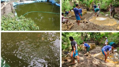 Cegah Stunting Pemdes Langgosipi Programkan 20 Kolam Ikan Untuk Warga, Dan Bangun Satu Unit Sumur Air Bersih, 5 Unit Perawatan