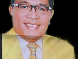 Ridwan Bae, Nyatakan Sikap BACAGUB O1 Sultra 2024, Bocoran 02 Pun Disebutnya