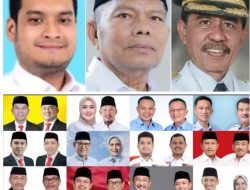 15 Bupati Terpilih di Sultra Dua Diantaranya Yang Terkaya, Berikut ini daftarnya