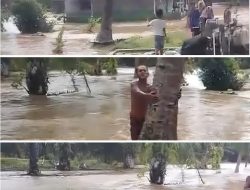 Banjir di Desa Langgosipi, 20 Rumah Warga dan Masjid Terendam Air