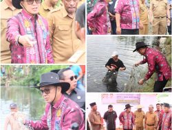 Motivasi Masyarakat Pesisir, Bupati Kolaka Turun Langsung Penen Ikan Bandeng