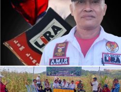 LIRA Kolaka Apresiasi Keberhasilan Panen Jagung BUMDES Lembah Madu Langgosipi, Amir : “Ini Jadi Contoh Bagi BUMDES Lainnya”
