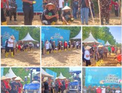 Ketum PP GP Ansor Tanam Jagung di Kebun Greenhouse PC GP Ansor Kolaka, Dukung Program Ketapang Presiden Prabowo Subianto