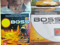 Rokok Ilegal Merk Boss Coffee Late dan Boss Mango Boost Bebas Beredar Bertahun-tahun, Bea Cukai Dipertanyakan