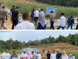 Dukung Program Asta Cita Presiden, Sinergitas Polres dan Pemkab Bombana Panen Jagung Wujudkan Swasembada Pangan